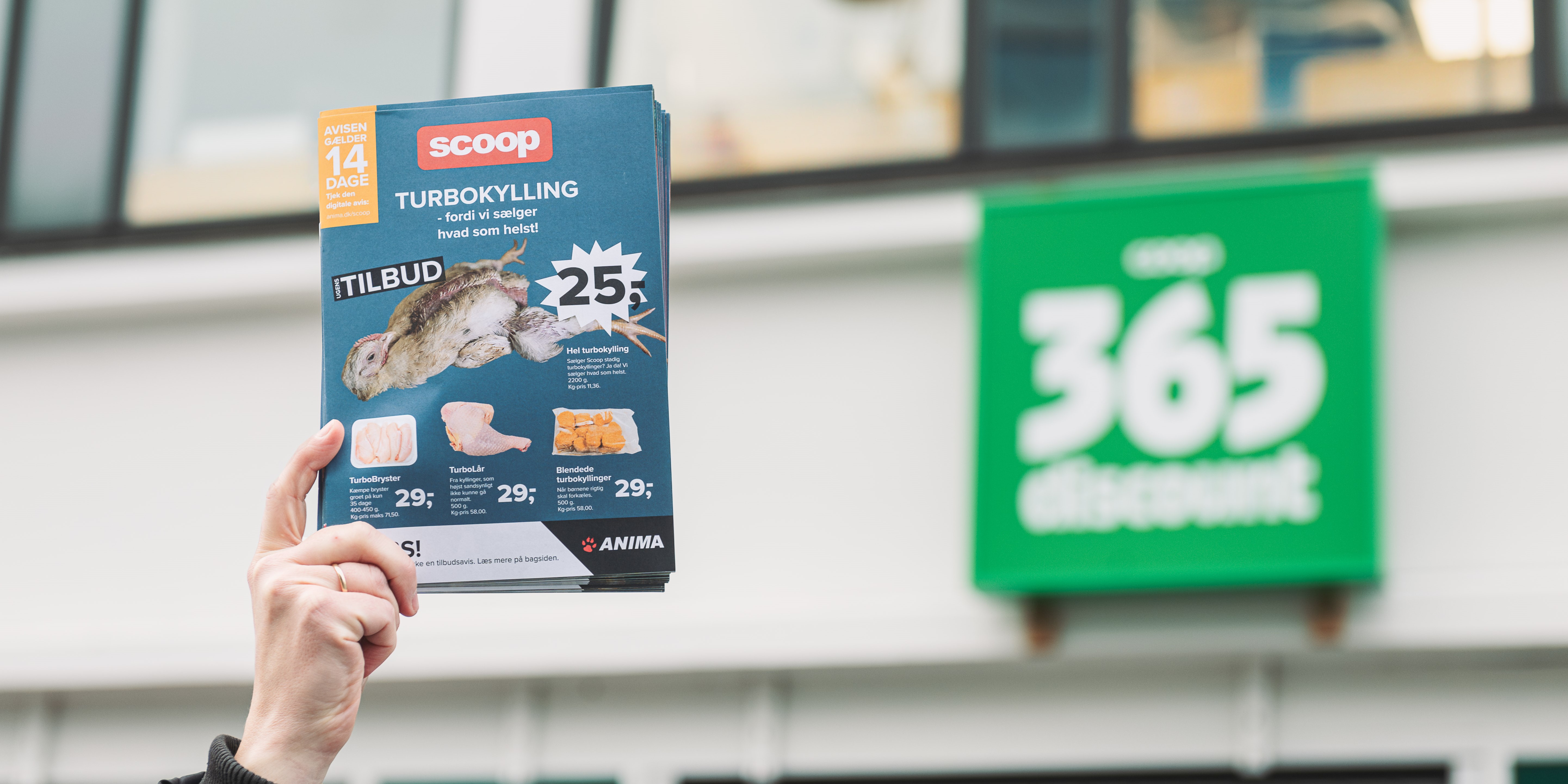 Har du lagt mærke til dem? Falske reklamer i 200 Coop-butikker