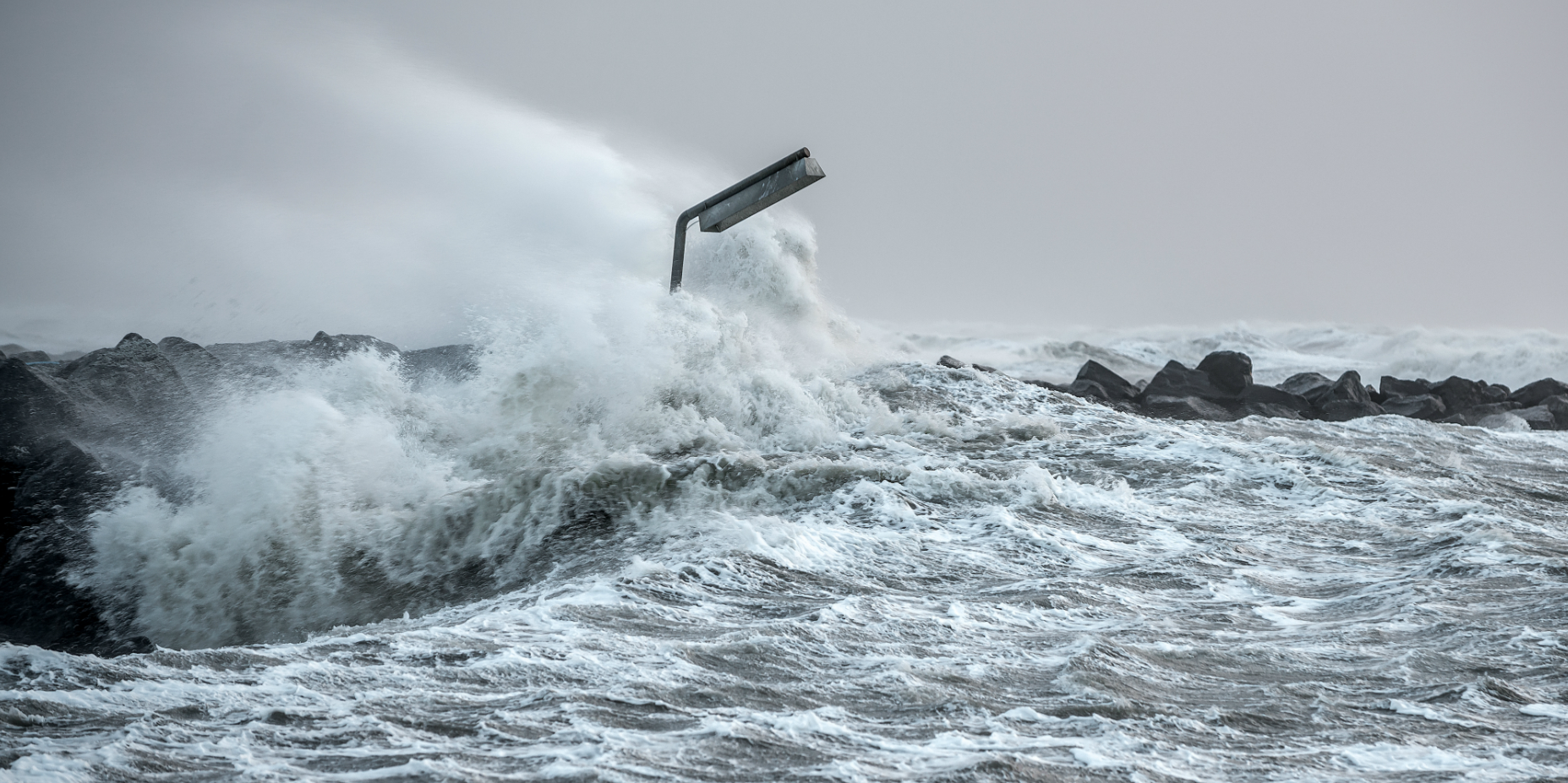 Advarer inden stormfloden: Det kan gøre dig syg, hvis du kommer i kontakt med det