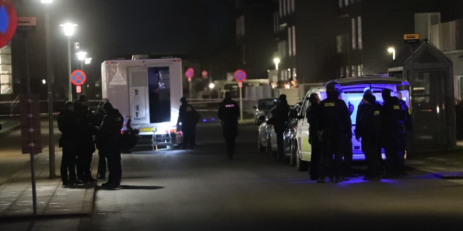 2 teenagere stukket ihjel i Taastrup