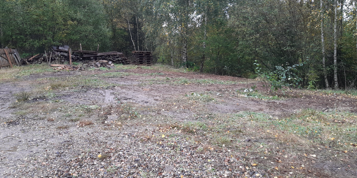 Træ for 250.000 kroner er væk – Kommune bestjålet