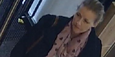 Politiet efterlyser vigtigt vidne: Reddede 14-årig pige fra krænker