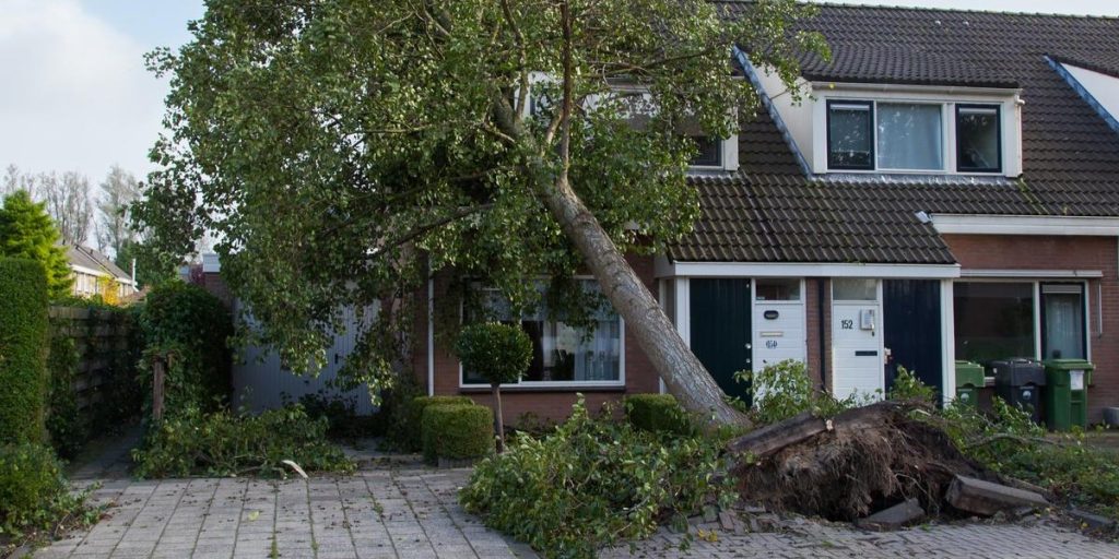 Status på Floriane: Så mange skader er der kommet, indtil videre
