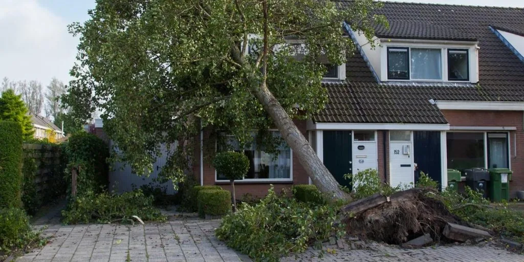 Status på Floriane: Så mange skader er der kommet, indtil videre