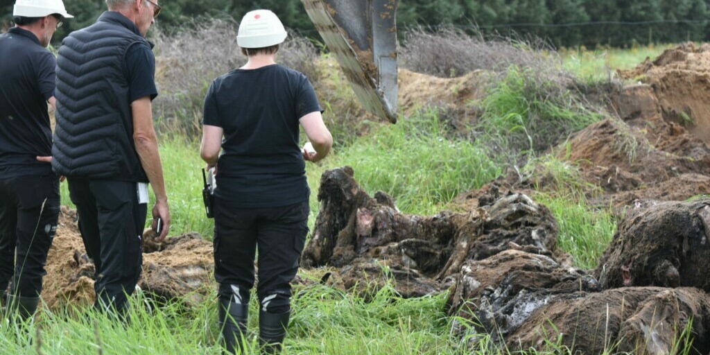 Nu er der nyt om dødsårsagen for de 50 nedgravede heste ved skandaleramt stutteri