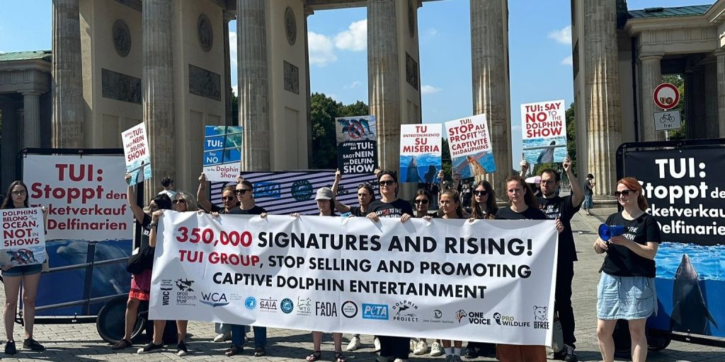 350.000 underskrifter: 15 organisationer protesterer mod TUI