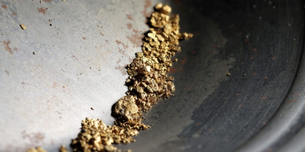 Forskere har skabt ‘hjemmelavede’ guldpartikler: Denne svamp, der findes i skoven, kan producere rent guld