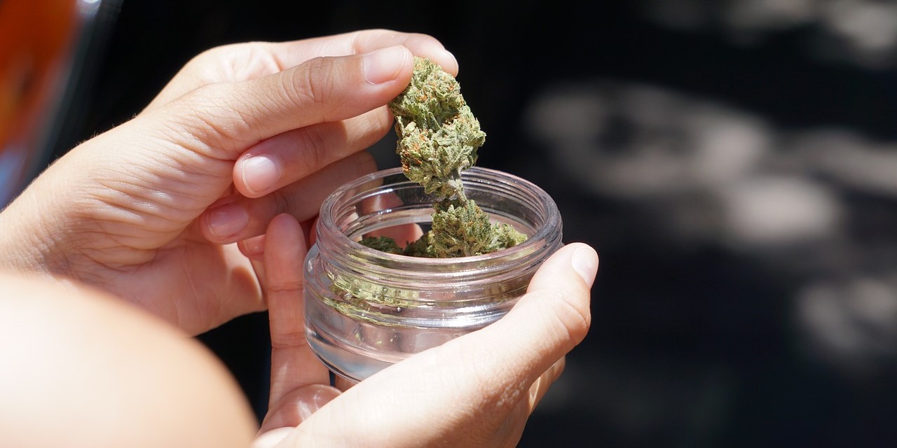 Dansk naboland vil legalisere hash fra nytår