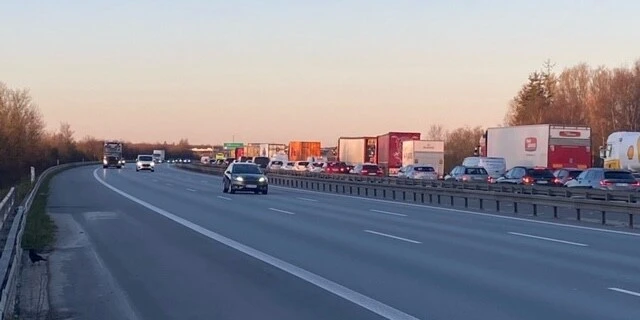 Grisetransport væltet, mere end 1 times kø