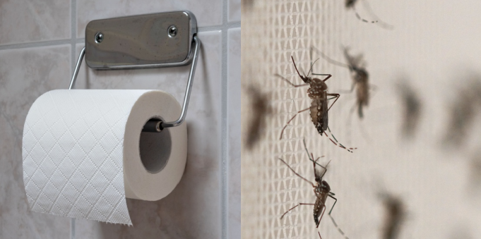 Dette unikke toiletpapirs-trick holder myggene ude af hjemmet