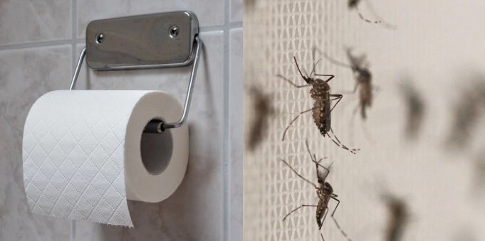 Dette unikke toiletpapirs-trick holder myggene ude af hjemmet