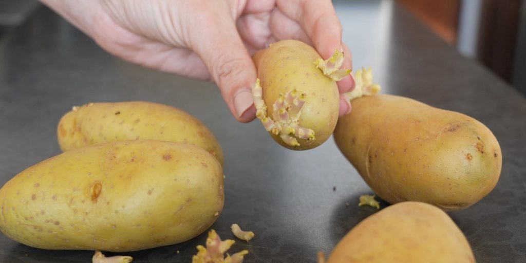 Opbevar dine kartofler med denne frugt: Du vil aldrig se en spirer igen