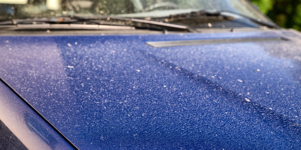 Mange går straks i krig med at fjerne pollen fra bilen: Én ting må du aldrig gøre