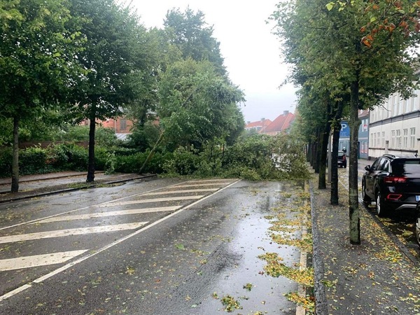 Vejrkaos i Danmark: Aflysninger og veje spærrede