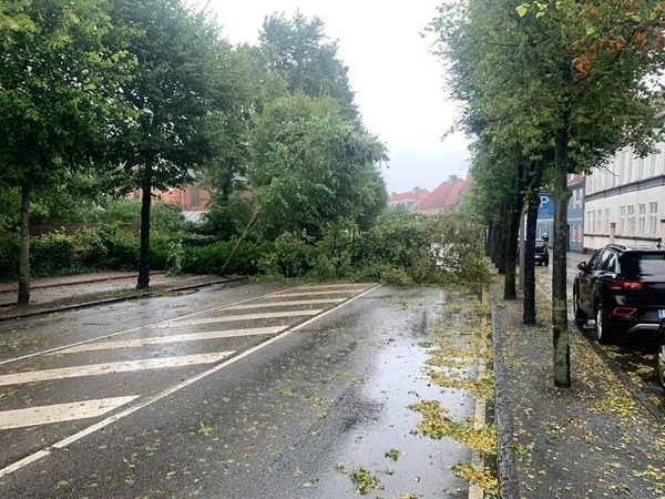 Vejrkaos i Danmark: Aflysninger og veje spærrede
