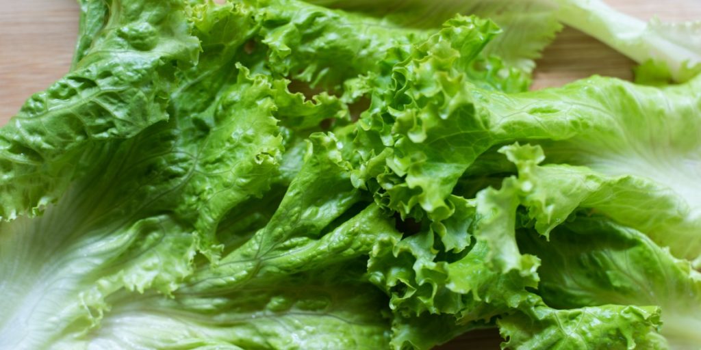 Sådan opbevarer du salat korrekt, så den holder i op til seks uger uden at blive muggen eller vissen