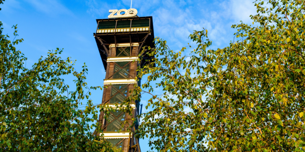 Surprise i ZOO: Gæster så live fødsel