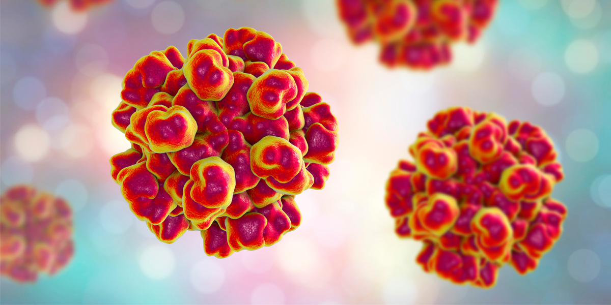 Kan indeholde hepatitis, skil dig af med det!