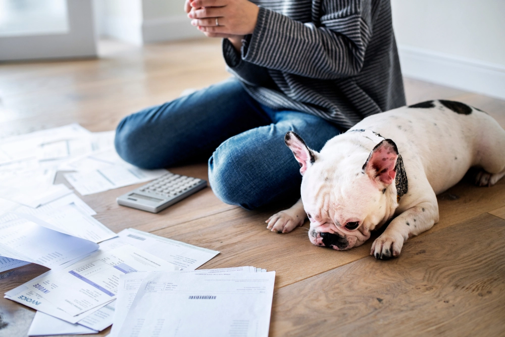 5 gode råd: Sådan sikrer du, din hund har det godt, imens du sparer penge