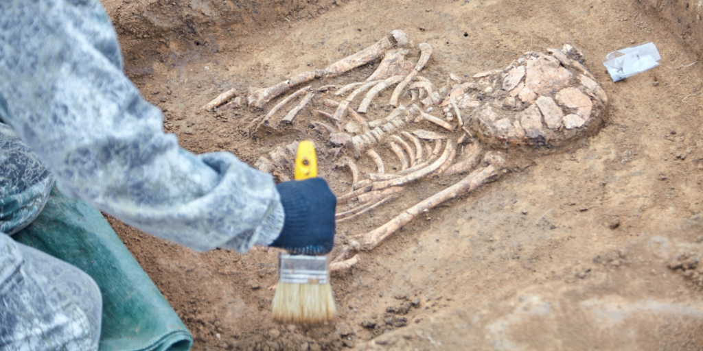 Vildt arkæologisk fund: 1,4 mio. år gammelt menneskefossil fundet