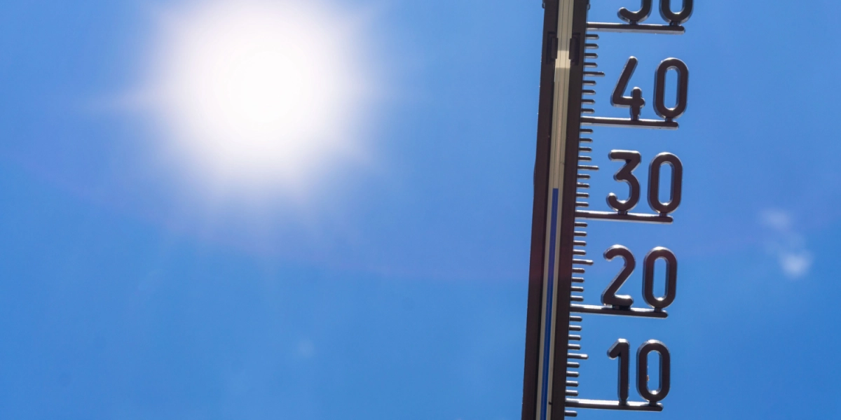DMI melder om 14 grader: Her kan det blive rigtigt forår