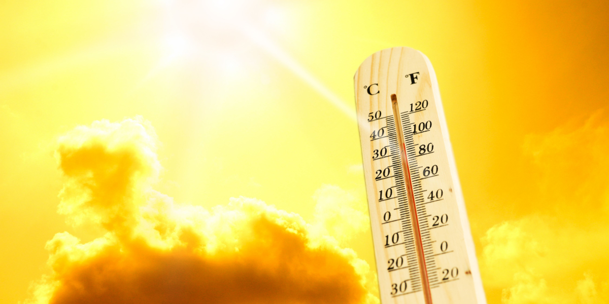 Helt vildt: Så meget ekstra sommer har vi i vente