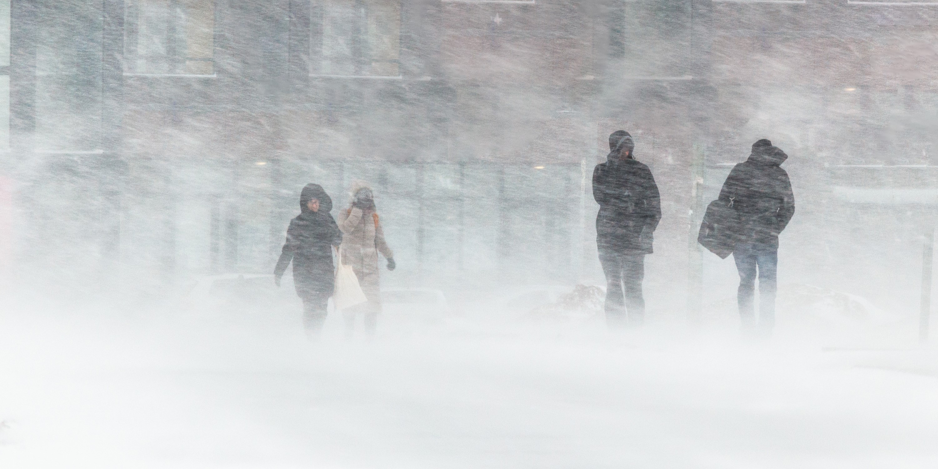 Det kan blive farligt: Prognoser viser op til 60 centimeter sne til disse landsdele