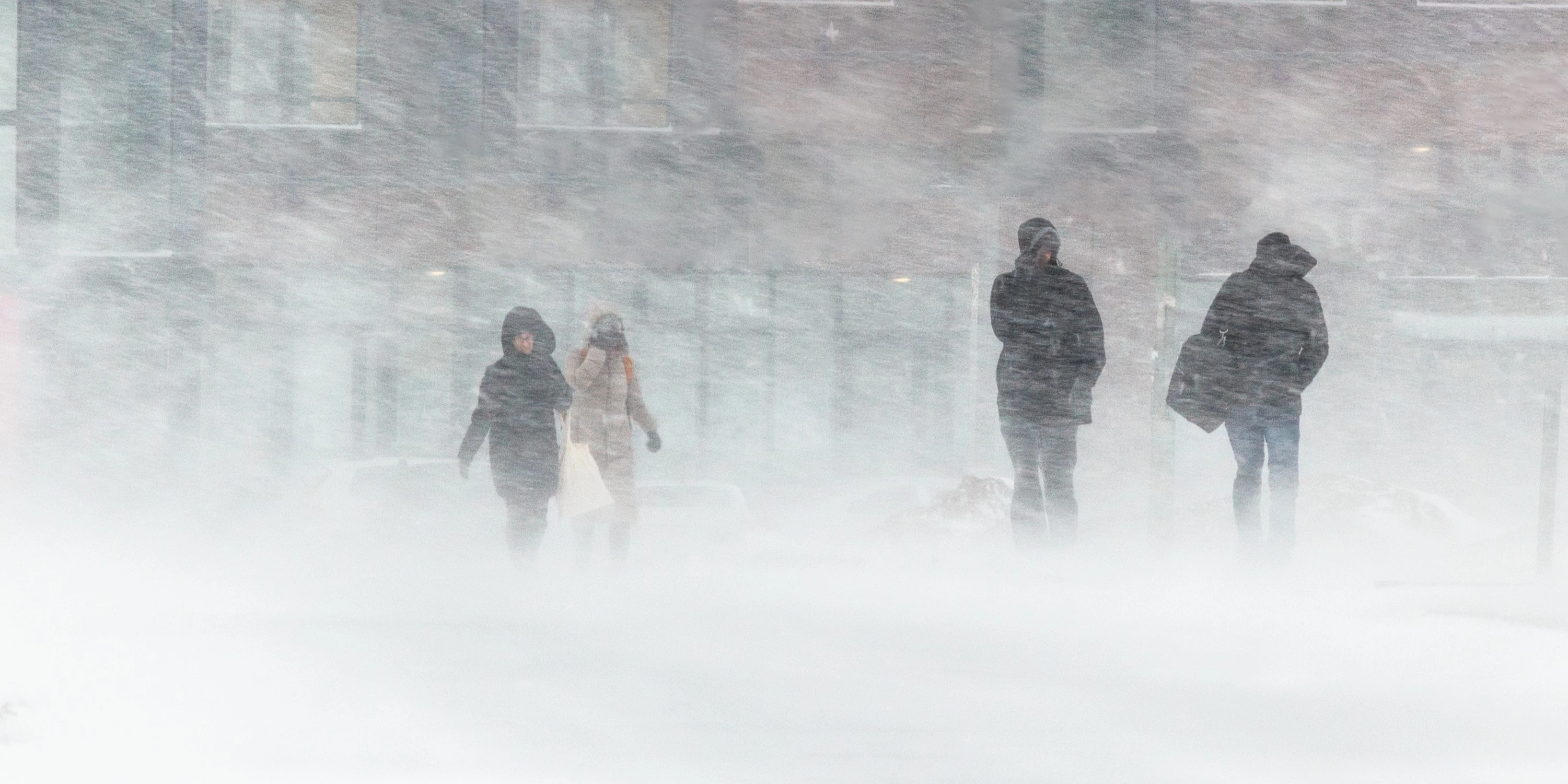 Det kan blive farligt: Prognoser viser op til 60 centimeter sne til disse landsdele