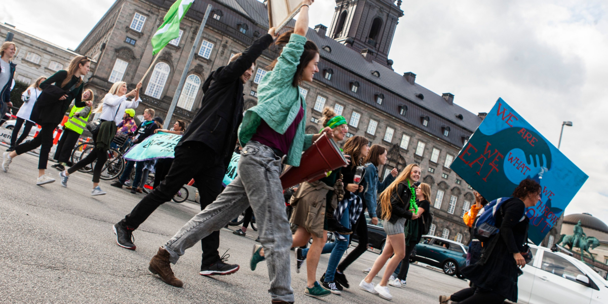 Stor demonstration i eftermiddag, find alternative veje