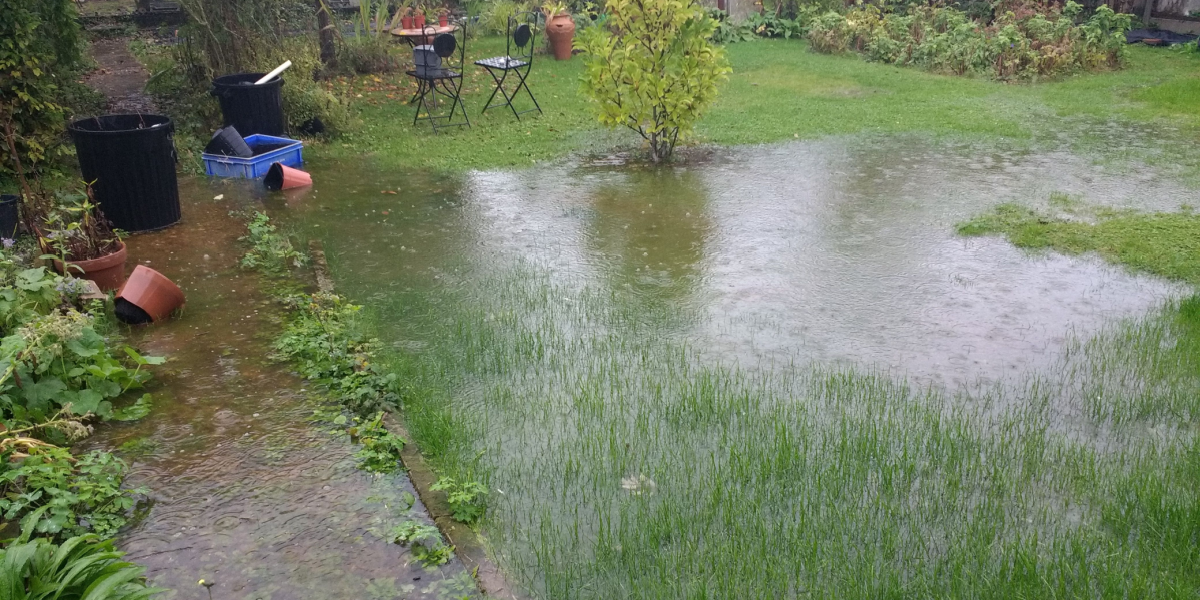 Efterår betyder mere regn: 7 tips til at redde din græsplæne fra at drukne