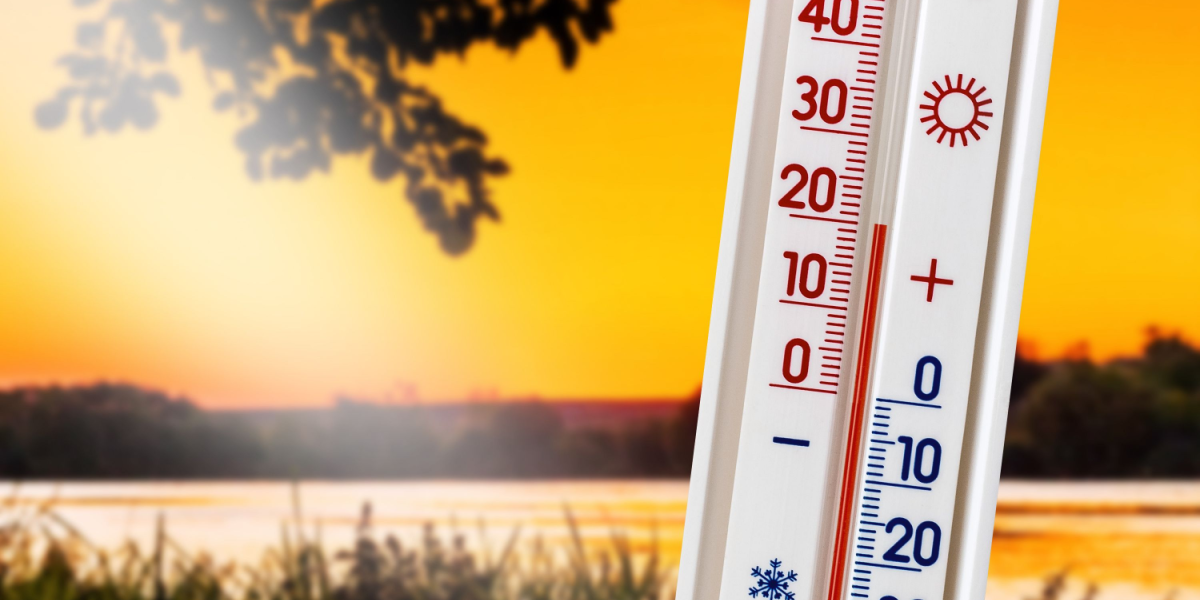 Over 20 grader på vej! Så godt bliver vejret de næste dage