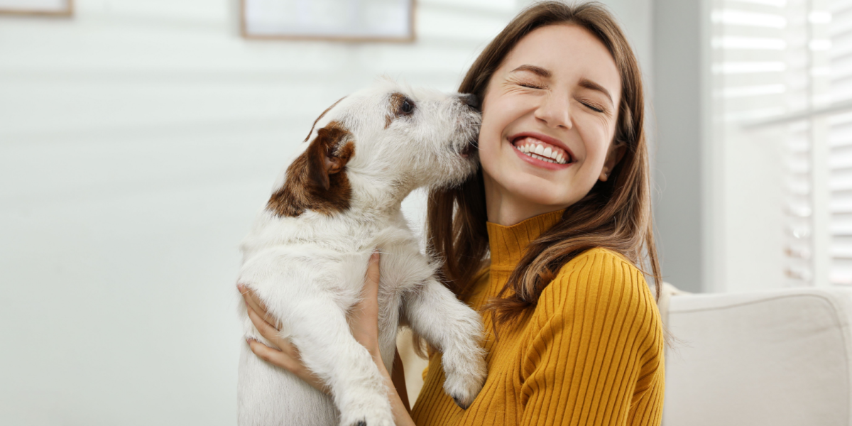 Klar til hund? 5 ting, enhver hundeejer bør anskaffe sig