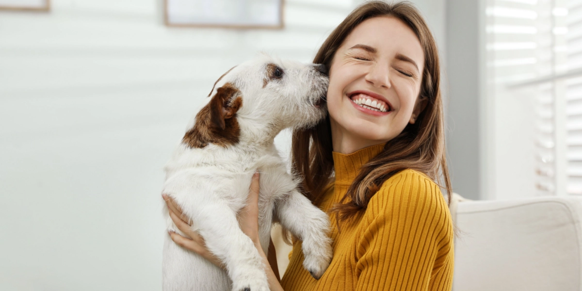 Klar til hund? 5 ting, enhver hundeejer bør anskaffe sig