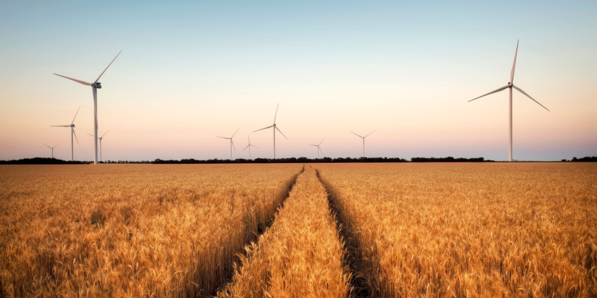 Forslag fra landdistrikterne: Sådan firdobles den vedvarende energi på landet