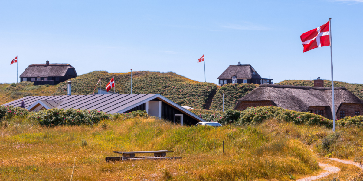 Undgå en stor elregning i det lejede sommerhus: Dette skal du være opmærksom på