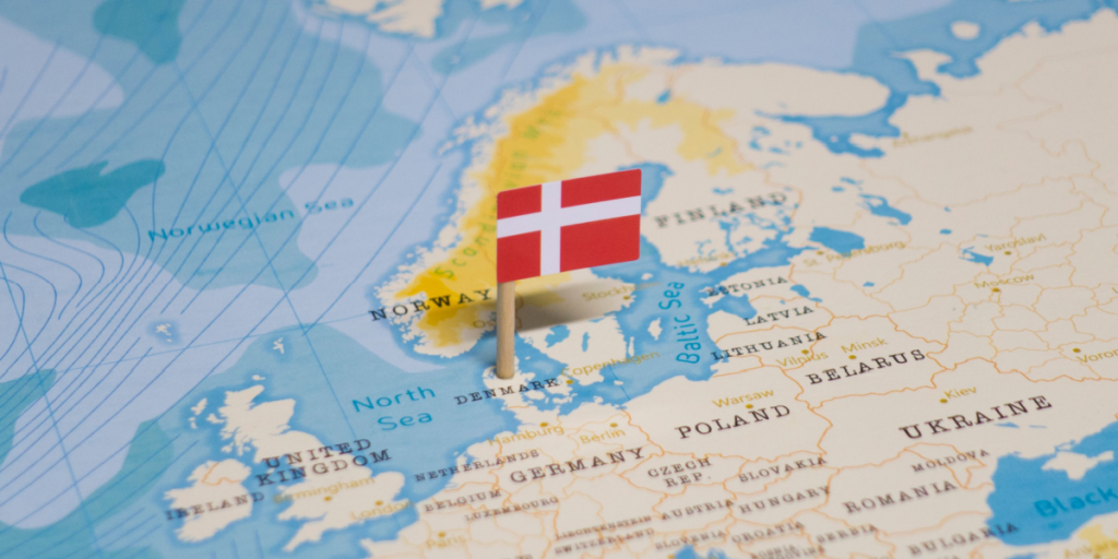 Danmarks Statistik: I denne branche er hver tredje lønmodtager udlænding