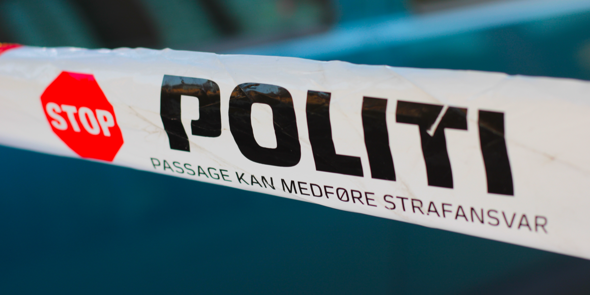 Vanvidsbilist har fået sin dom: Dræbte 1 og kvæstede 3