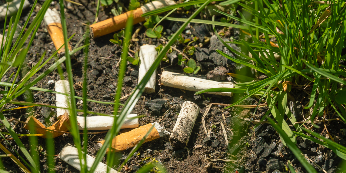 Vil koste dem 32 millioner om året: Nu skal tobaksindustrien betale for at rydde cigaretskod op