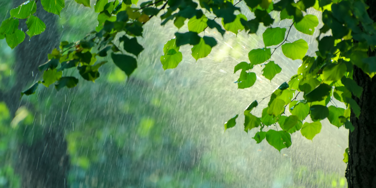 Er der mere regn på vej? Sådan bliver vejret de sidste dage af maj