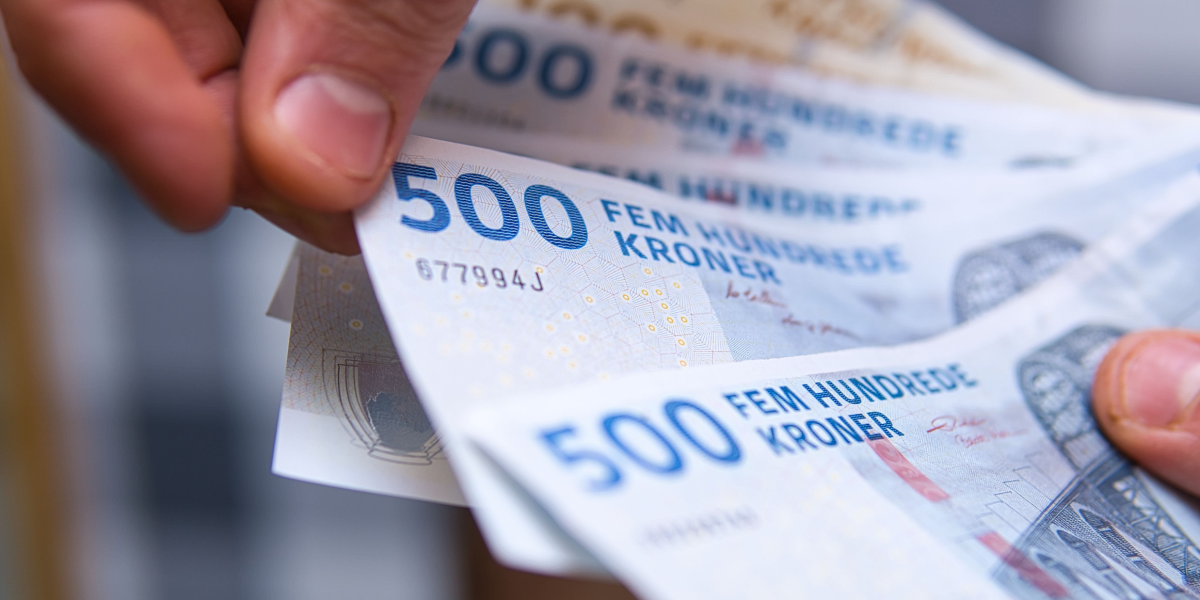 De økonomiske vismænd: Lav det om til et lån