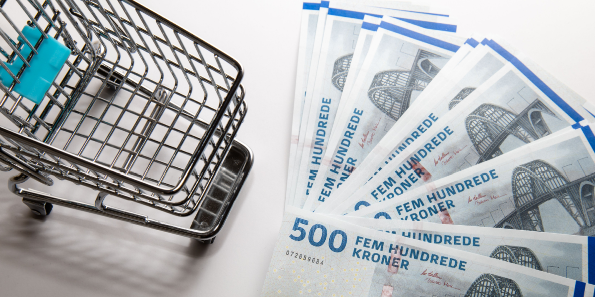 Fra 230 til 2700 kroner – så meget skal du spare, før grænsehandel kan betale sig
