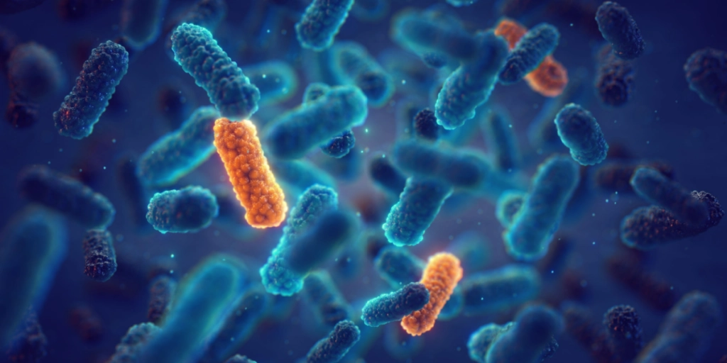 Ny national strategi: Sådan skal fremtidige epidemier håndteres i Danmark