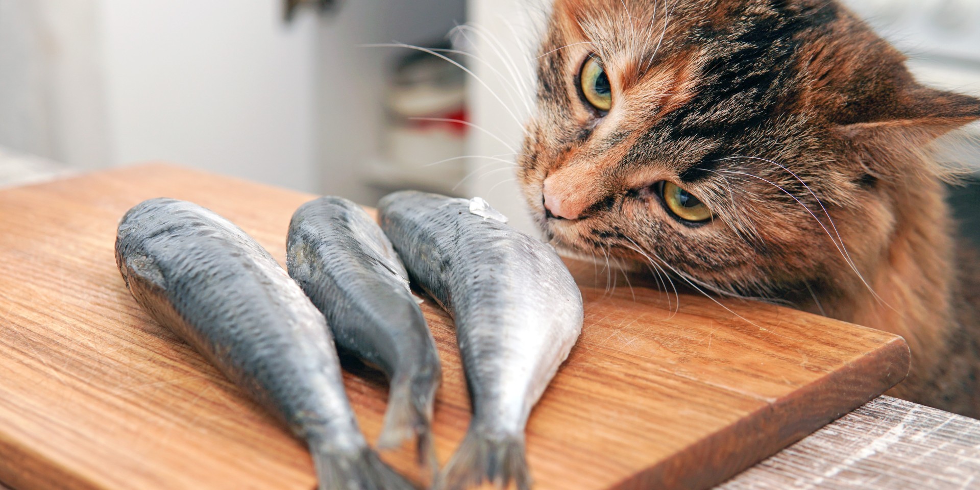 Reduceret med 2/3: Godt nyt til dig, der spiser fisk