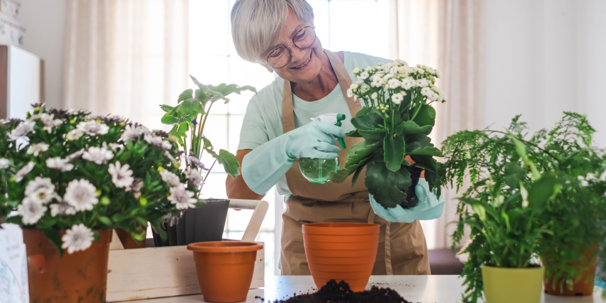 Pas godt på dine planter: Sådan holder du dem sunde og glade