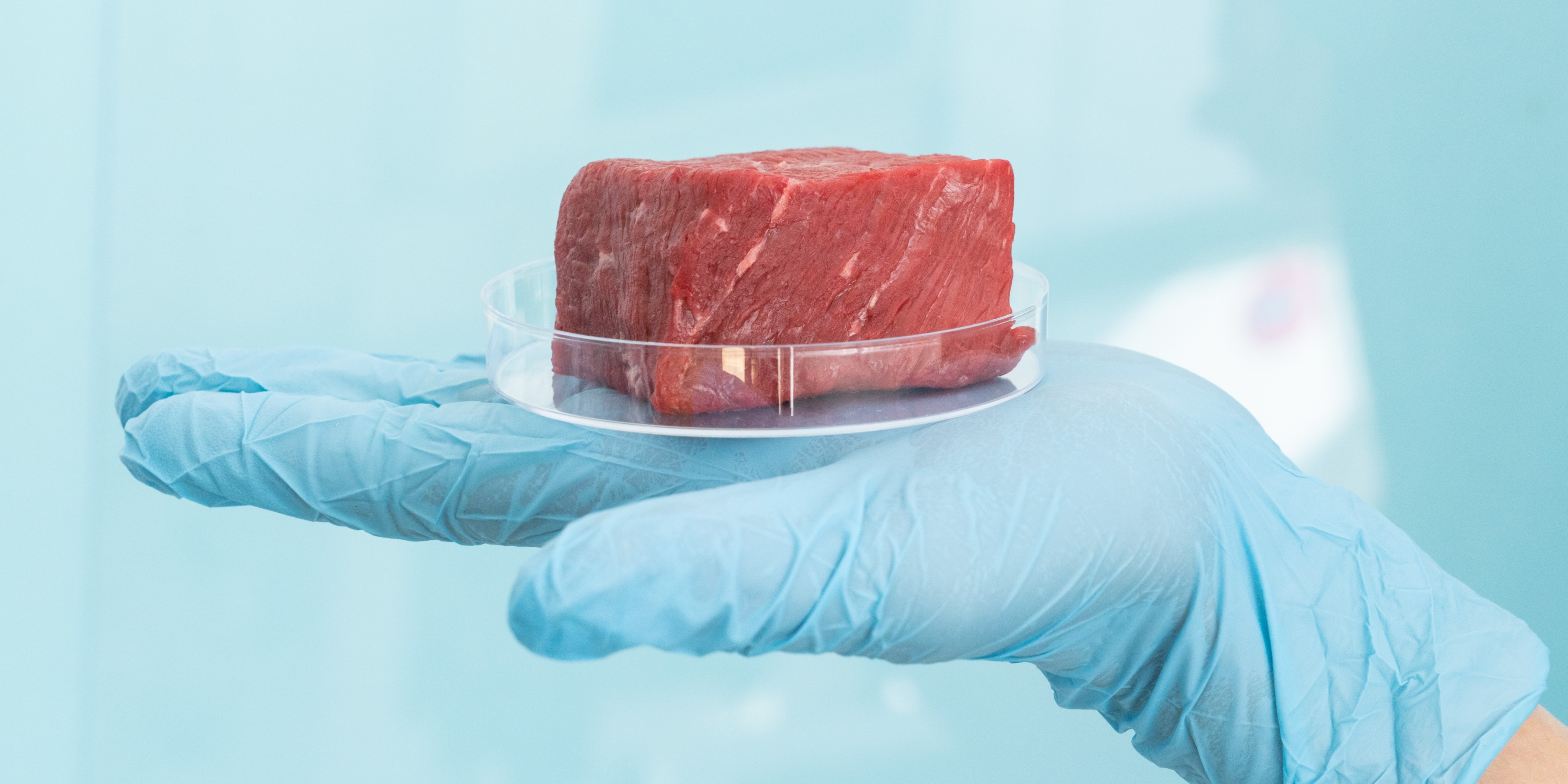 Bemærkelsesværdige resultate: Sådan kan kød og mejeriprodukter være med til at bekæmpe kræft