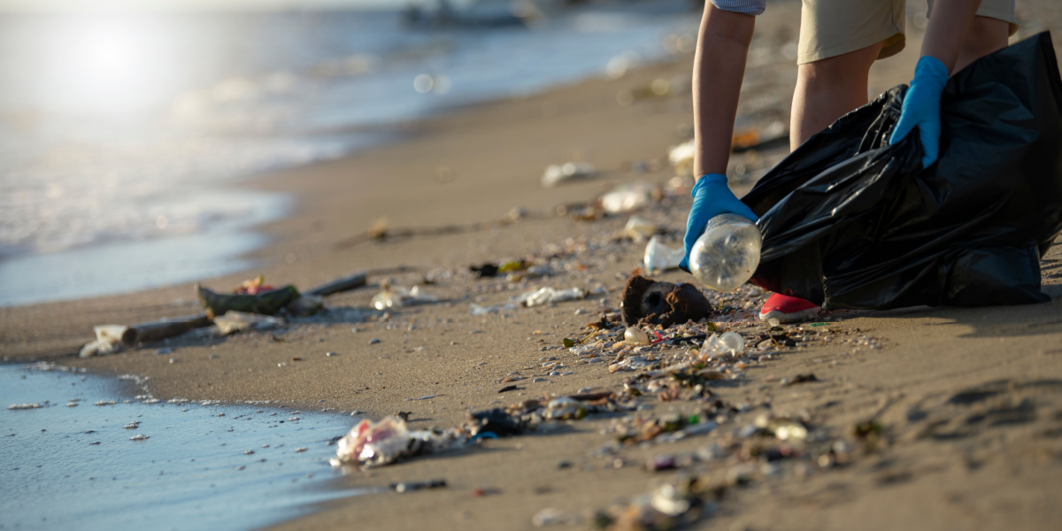 Nyt dansk koncept: Her kan du rydde op på stranden, men du skal betale for det
