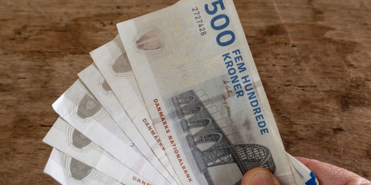 Forslag: Disse danskere skal have mindst 60 procents rabat