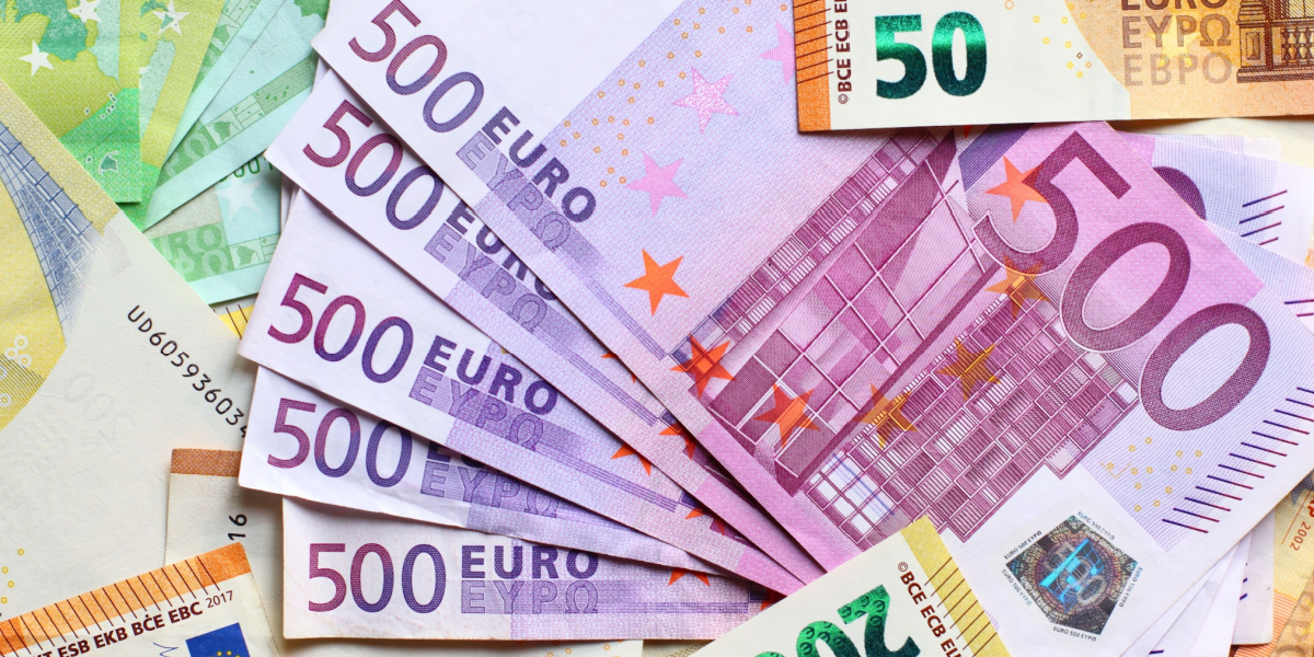 Regeringsparti melder ud: Vil have euro som betalingsmiddel i Danmark