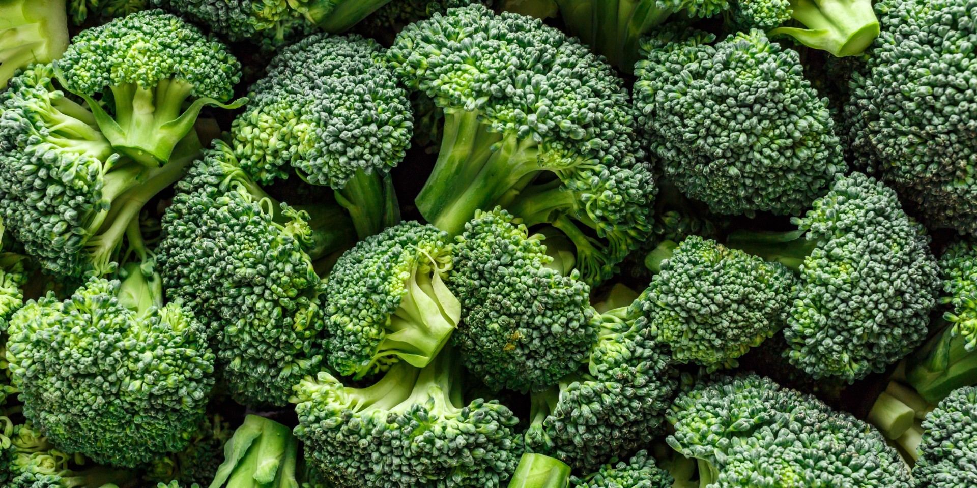 Bliver broccolien slatten? Sådan skal du opbevare den, for at få den til at holde sig længere