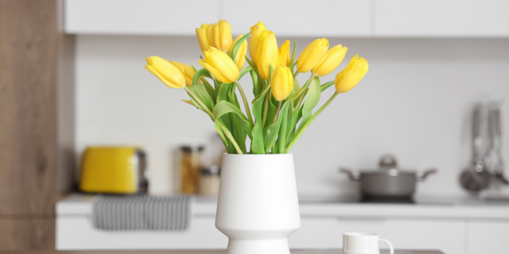 Planteekspertens trick: Sådan får du tulipan-buketten til at holde sig frisk meget længere