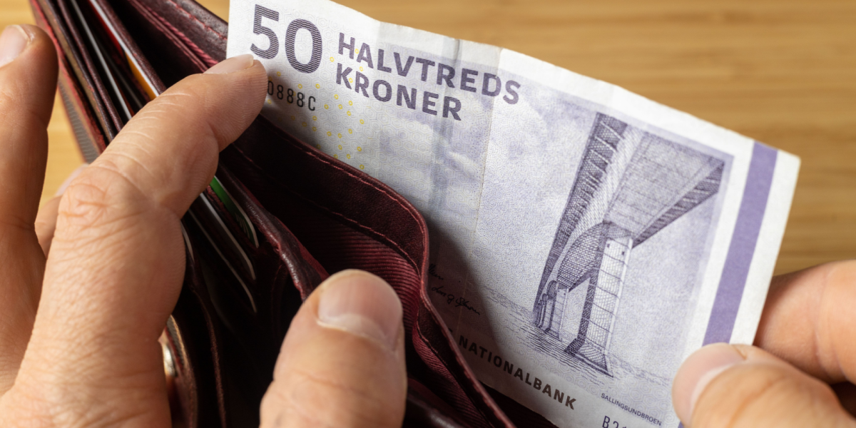 Godt nyt til disse danskere: Elselskab sænker særlig pris markant